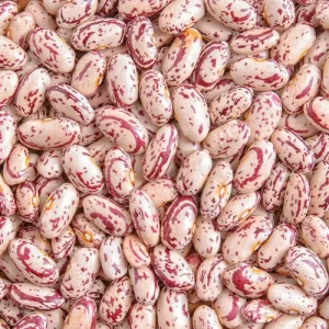 sugar beans or speckled kidney beans