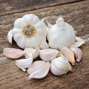 white fresh garlic