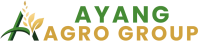 logo ayang
