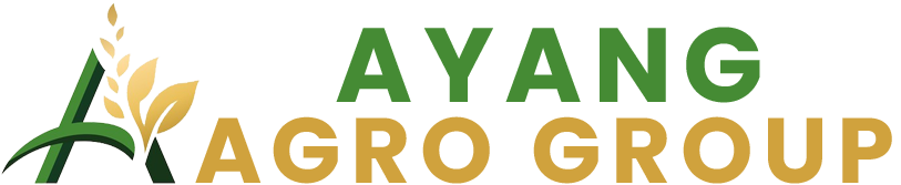 logo ayang